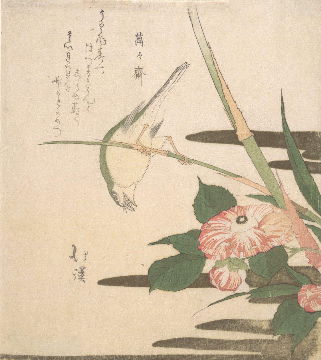 Pacsirta és kamélia, kb. 1815-20. alkotó: Totoya Hokkei