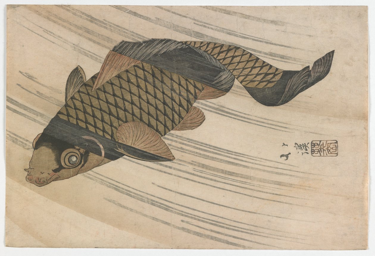 Folyásirányban úszó ponty, Edo-korszak, 1820-as évek közepe (színes fametszet) alkotó: Toyota Hokkei