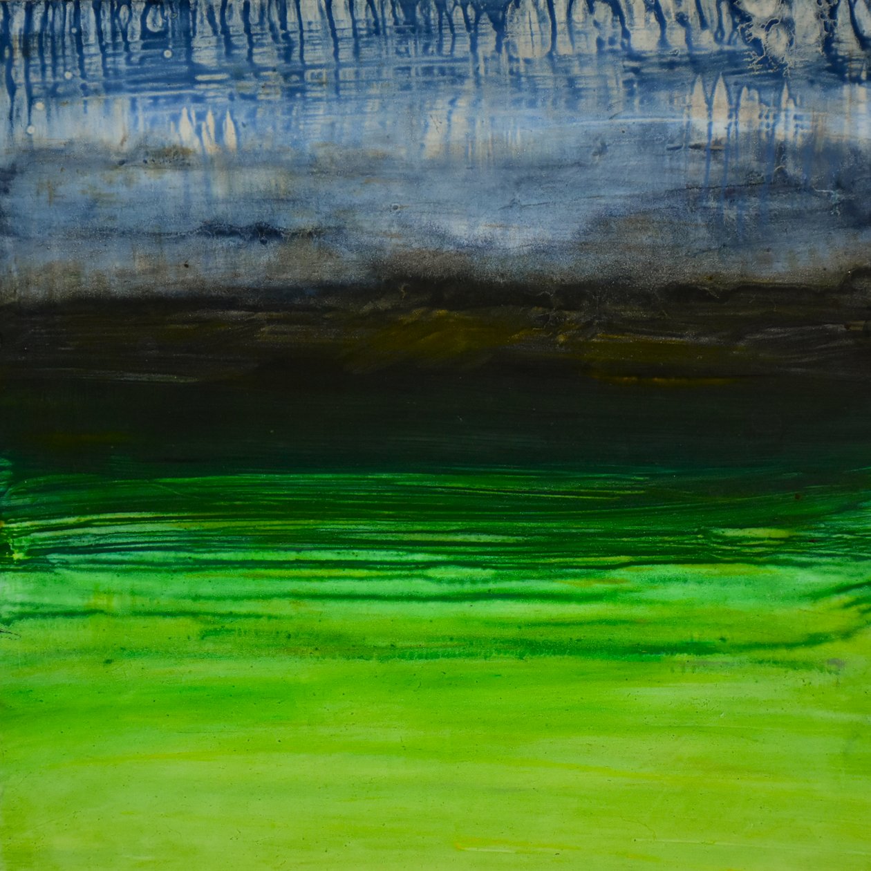 Természetes természetellenes sorozat , 2004 (olaj, panel) alkotó: Tracy Lambros