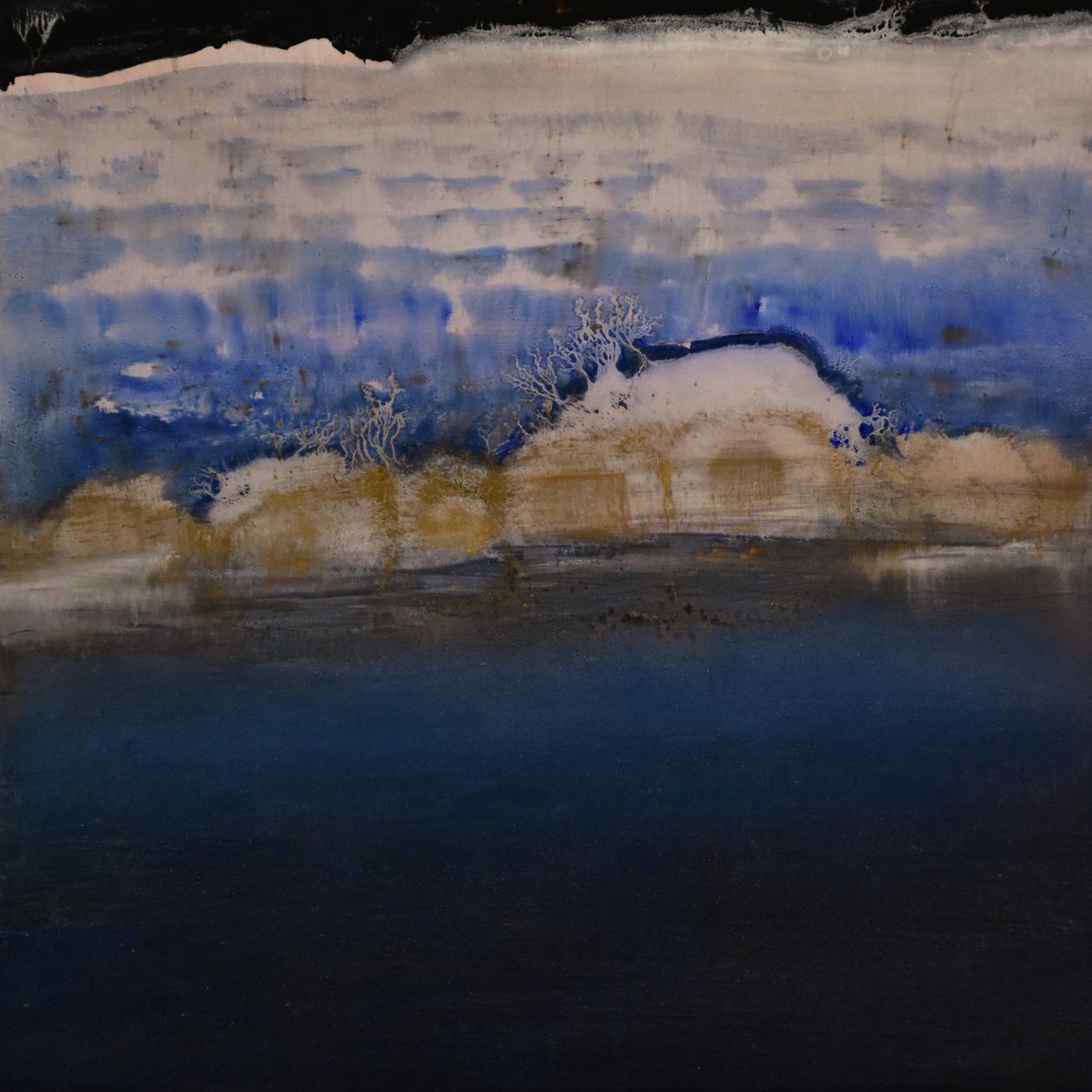Természetes természetellenes sorozat 28., 2004 (olaj, panel) alkotó: Tracy Lambros