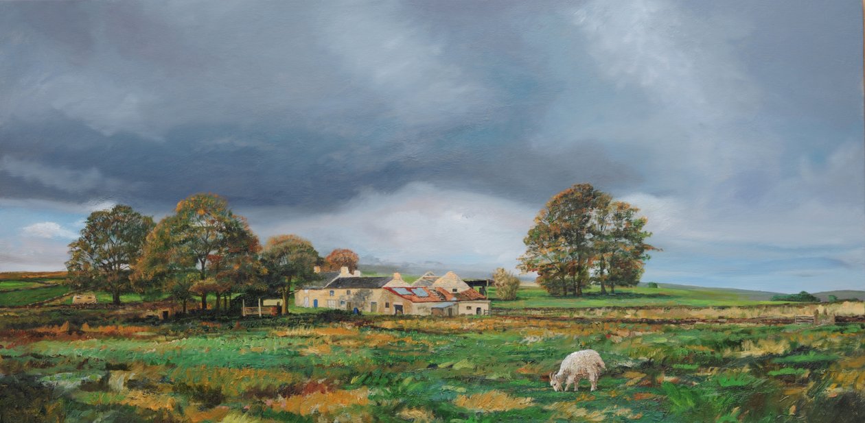 Old Farm, Monyash, Derbyshire, 2009 alkotó: Trevor Neal