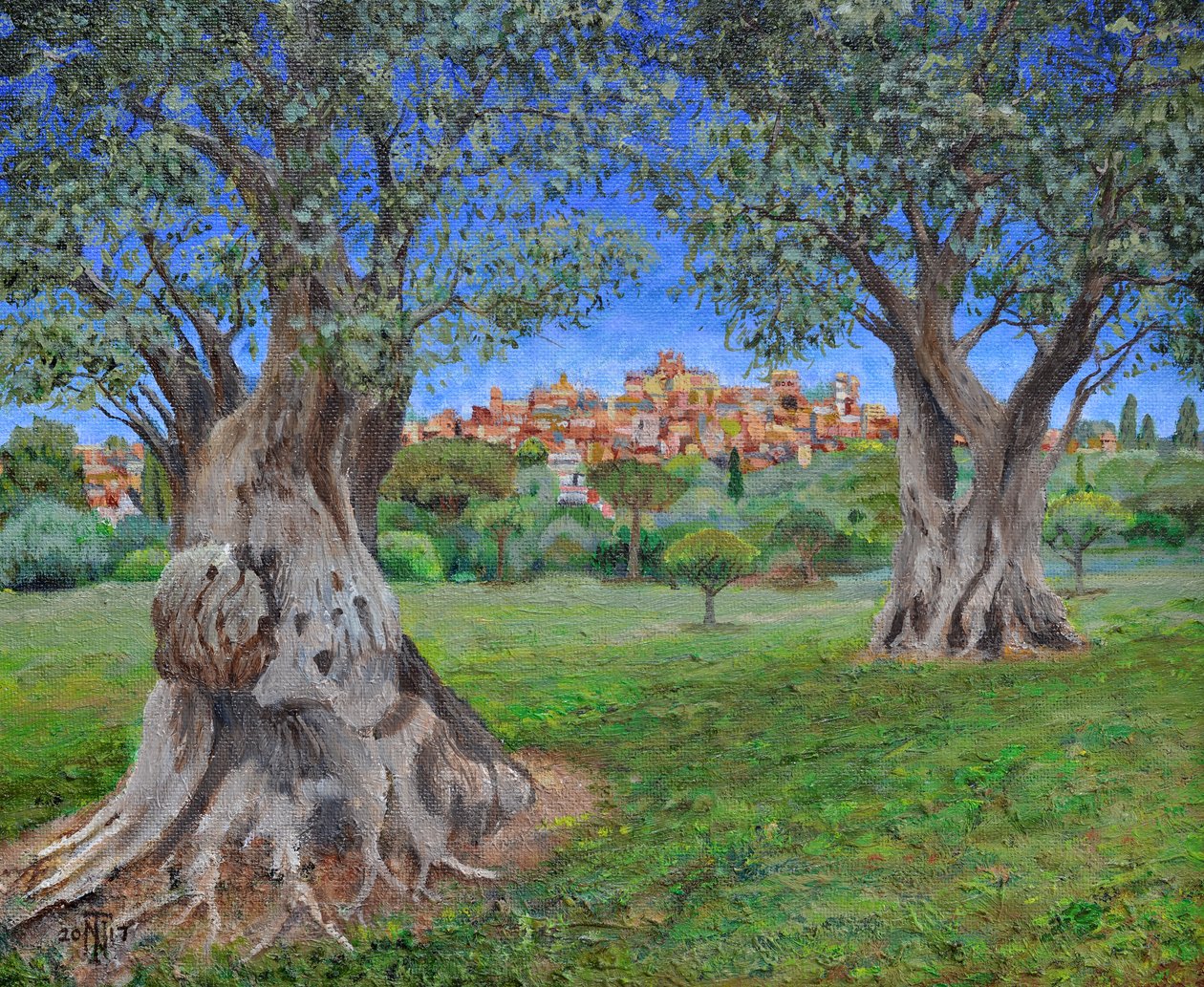 Kilátás Cagnes Sur Merre a Renoirs kertből, 2017 alkotó: Trevor Neal