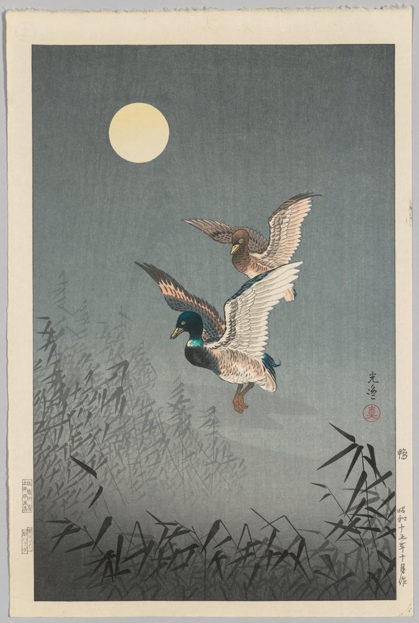 Tokiói nézetek: Kacsák alkotó: Tsuchiya Kōitsu