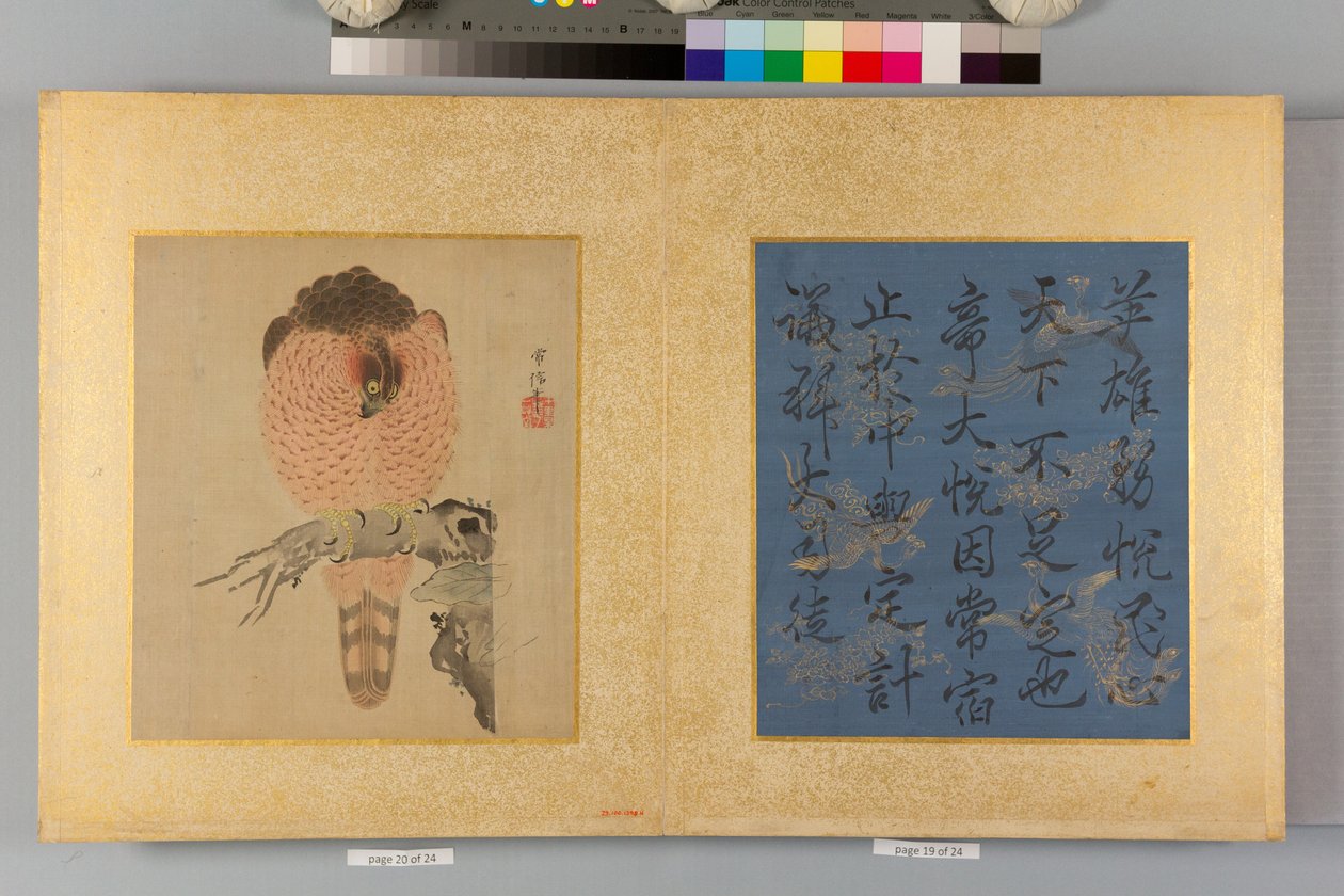  alkotó: Tsunenobu Kano