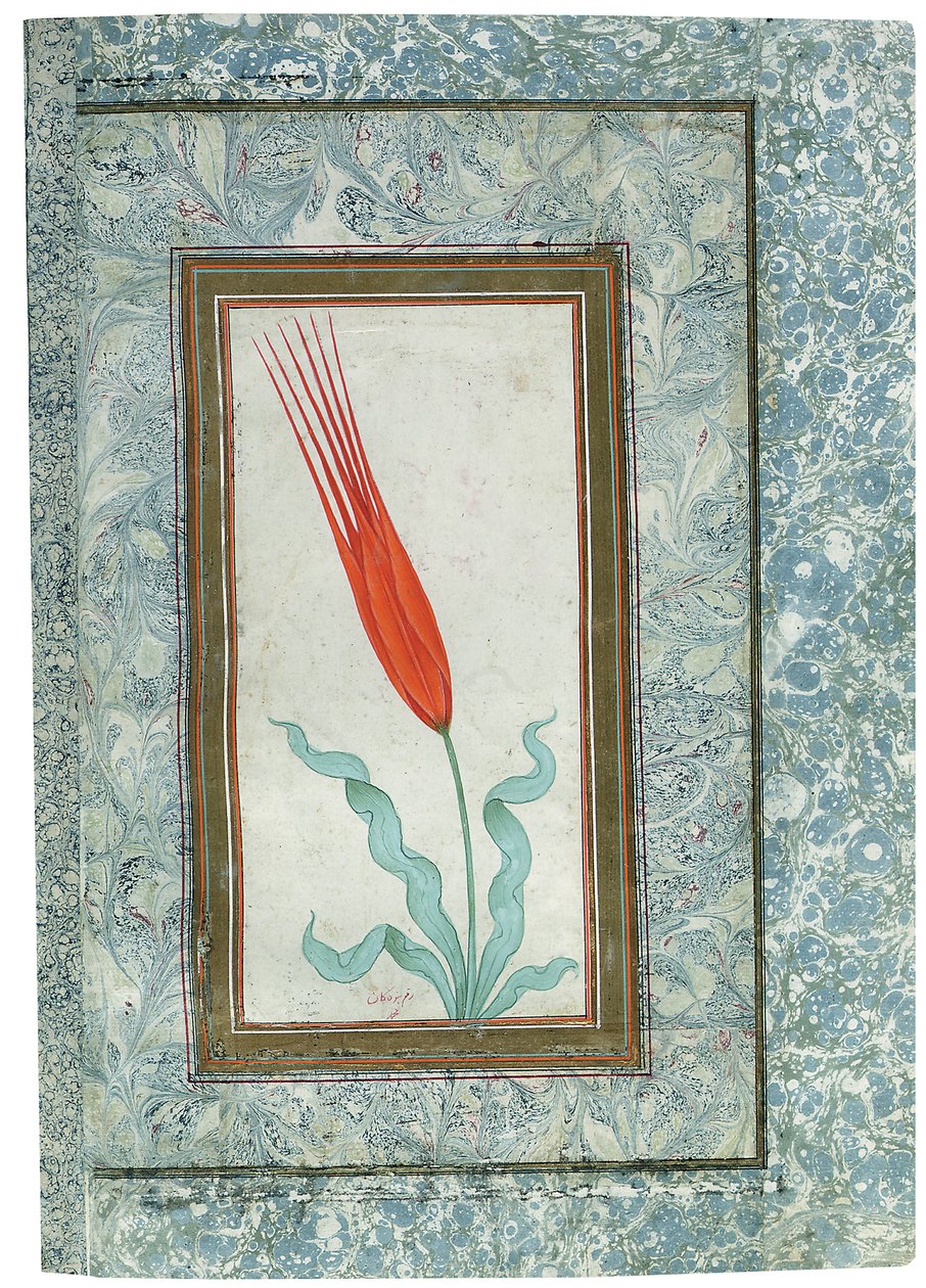 Oldal a Török tulipán albumból, Isztambul, 1725 alkotó: Turkish School