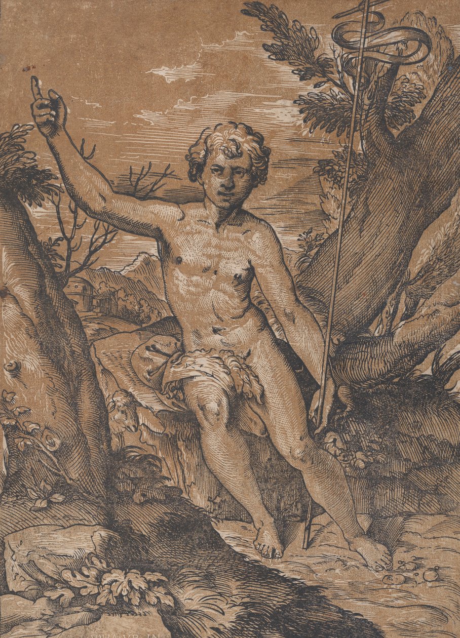 A fiatal Keresztelő Szent János a pusztában, kb. 1520-27. alkotó: Ugo da Carpi