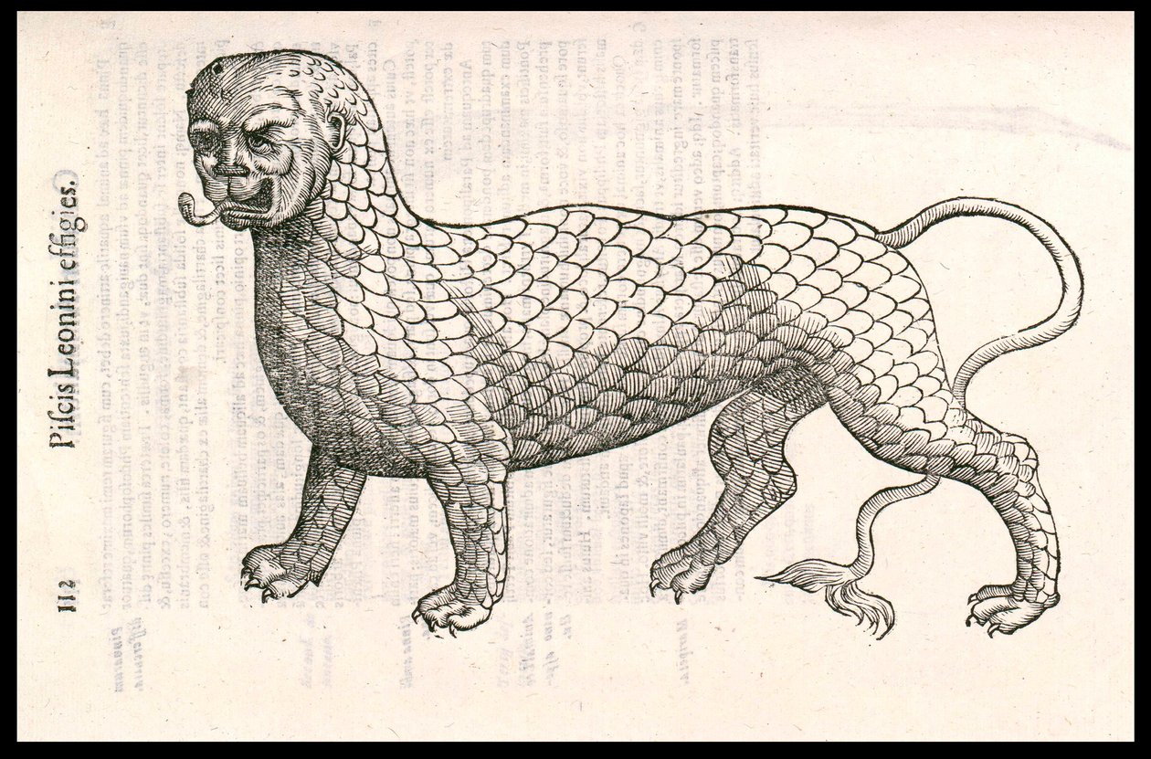 Szörnylény: halpikkelyekkel borított oroszlán (vagy oroszlánhal). Ulisse Aldrovandi (1522-1605) metszet, „Monstrorum Historiae”, Bologna 1642 alkotó: Ulisse Aldrovandi