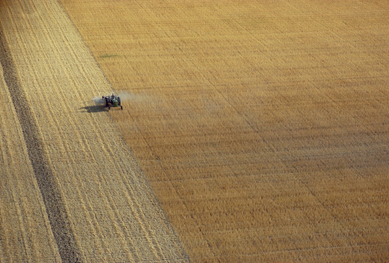 Betakarítás traktor alkotó: Unbekannt Unbekannt
