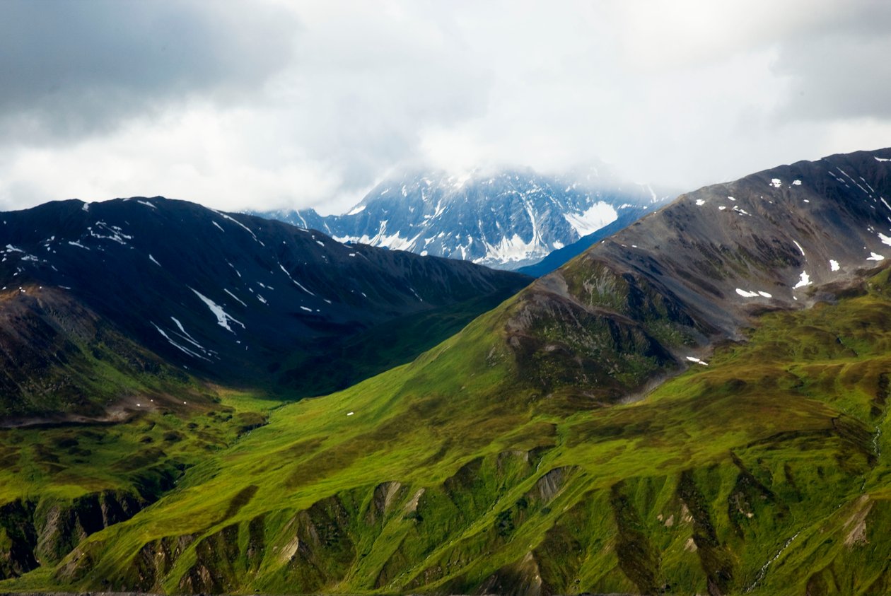 Alaszkai tundra, Denali Nemzeti Park, Alaszka alkotó: Unbekannt Unbekannt