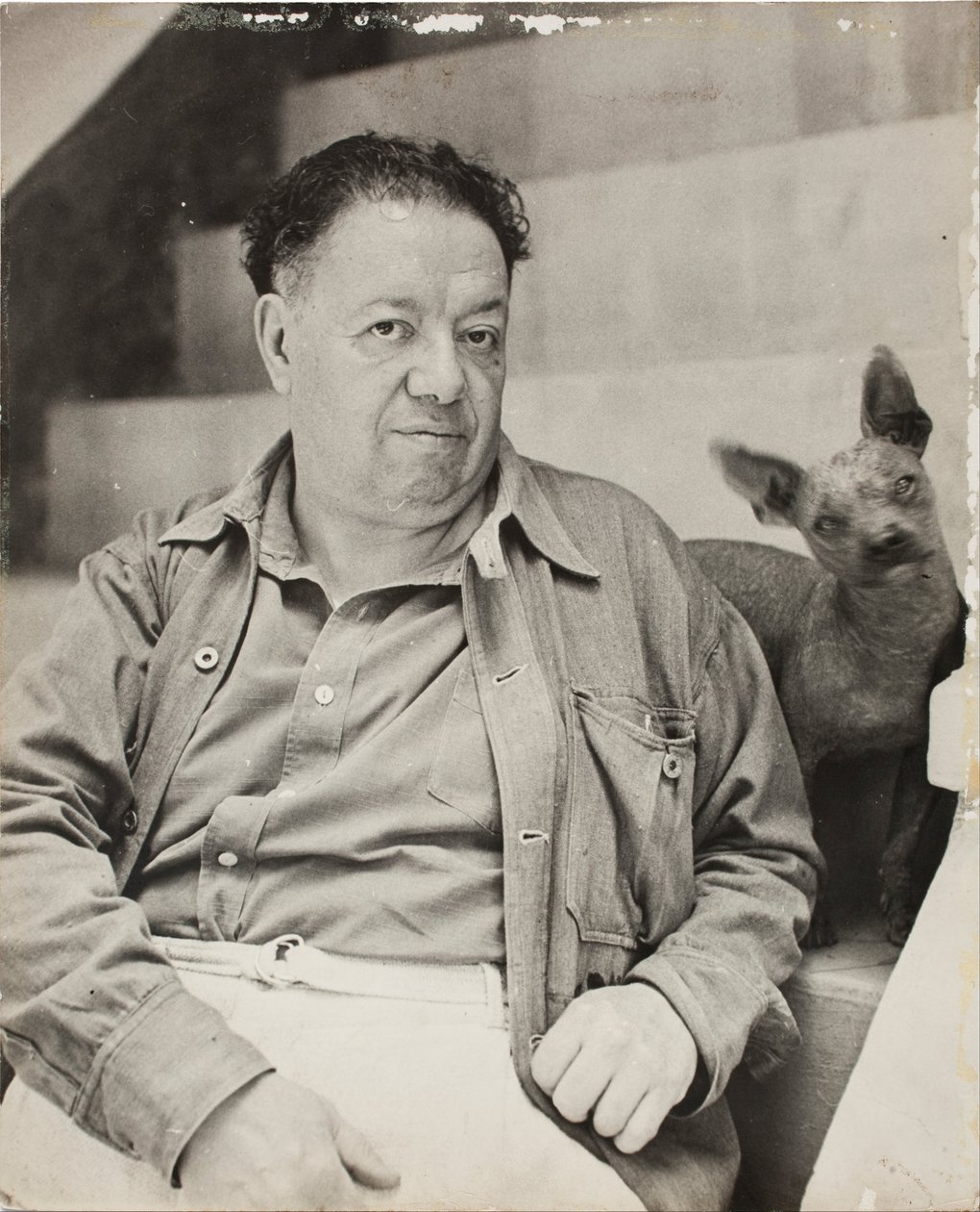 Diego Rivera xoloitzcuintle kutyával a Kék Házban, Coyoacan alkotó: Unbekannt Unbekannt