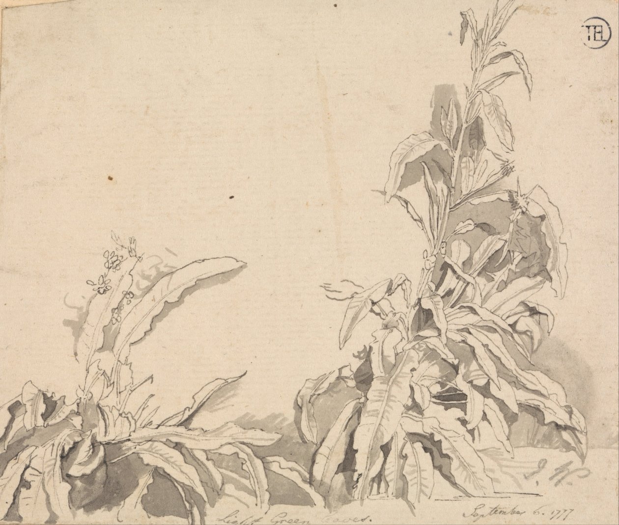 Dokkok, 1777. szeptember 6 alkotó: Unbekannt Unbekannt