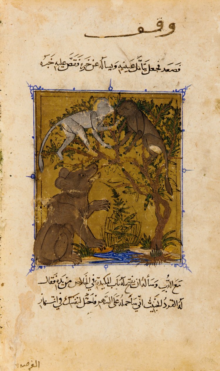 Folió Ibn Zafar Sulwan al-Muta (Az öröm vigasza) című művéből; hátlap A mese a medvéről és a m... alkotó: Unbekannt Unbekannt