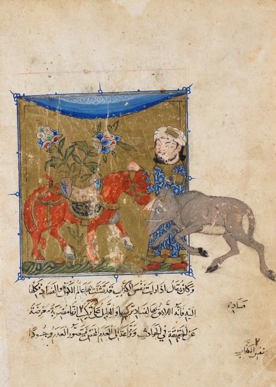Folio egy Sulwan al-Muta-tól, Ibn Zafar; verso- a vadkan és a ló alkotó: Unbekannt Unbekannt
