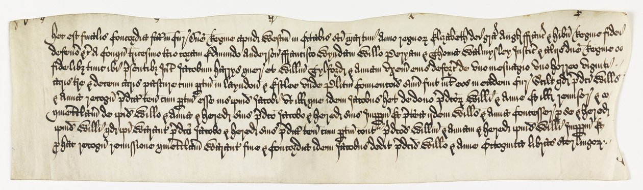 Föld, Layndon, 20 hold és 1 birtok, az úgynevezett , Date Octo. 1585 alkotó: Unbekannt Unbekannt