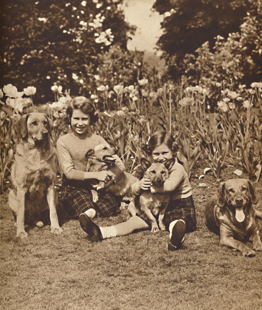 - És barátok, Erzsébet és Mária hercegnők a királyi páholyban, Windsor, c1936 1937 alkotó: Unbekannt