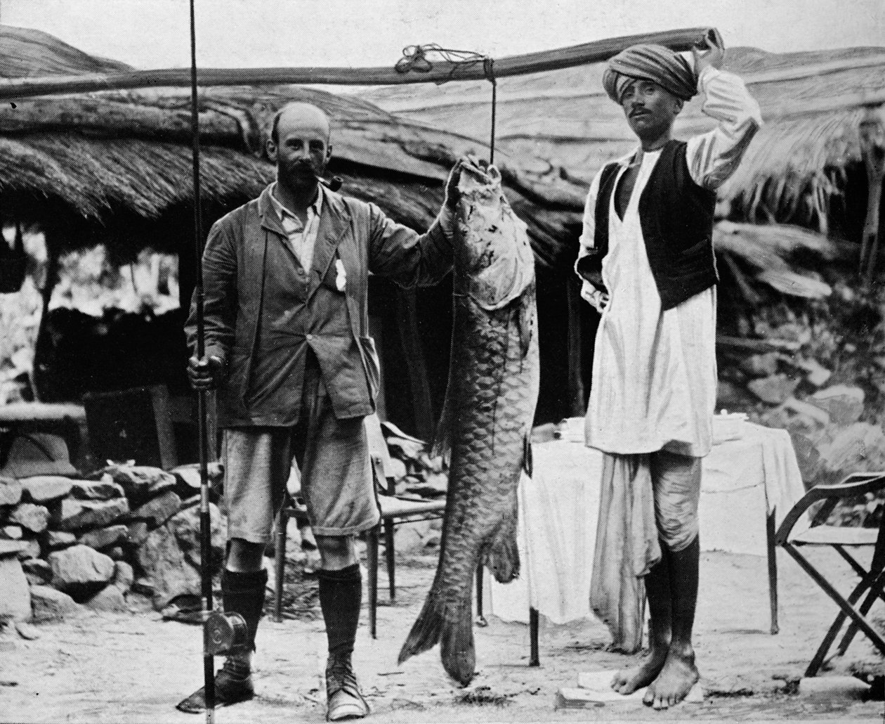59 lb Mahseer, elkapta H. B. D. Campbell százados, R.E., a Felső Gangeszben, 1903, 1903 alkotó: Unbekannt