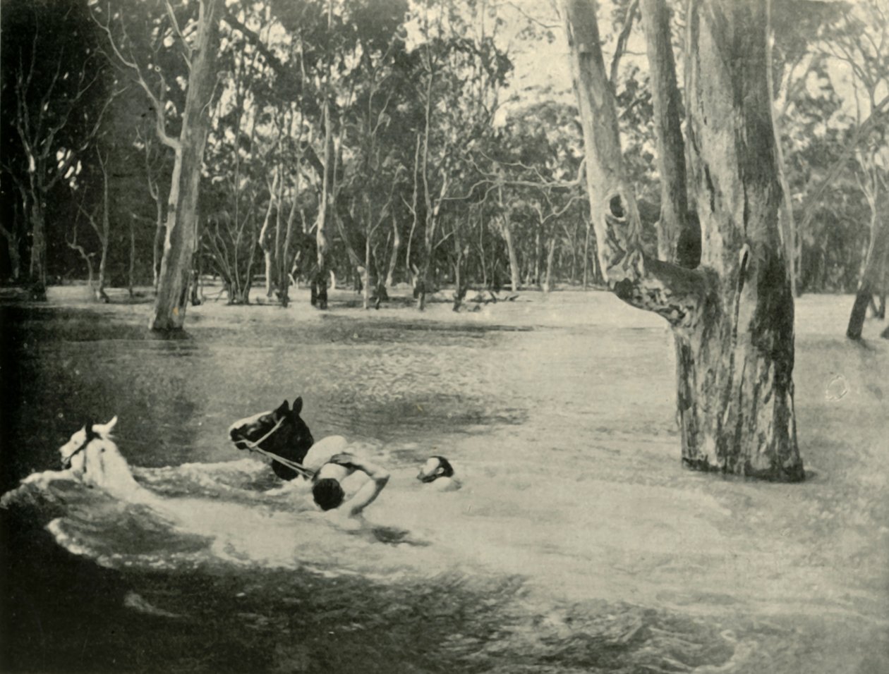 Egy bankár, 1901. alkotó: Unbekannt