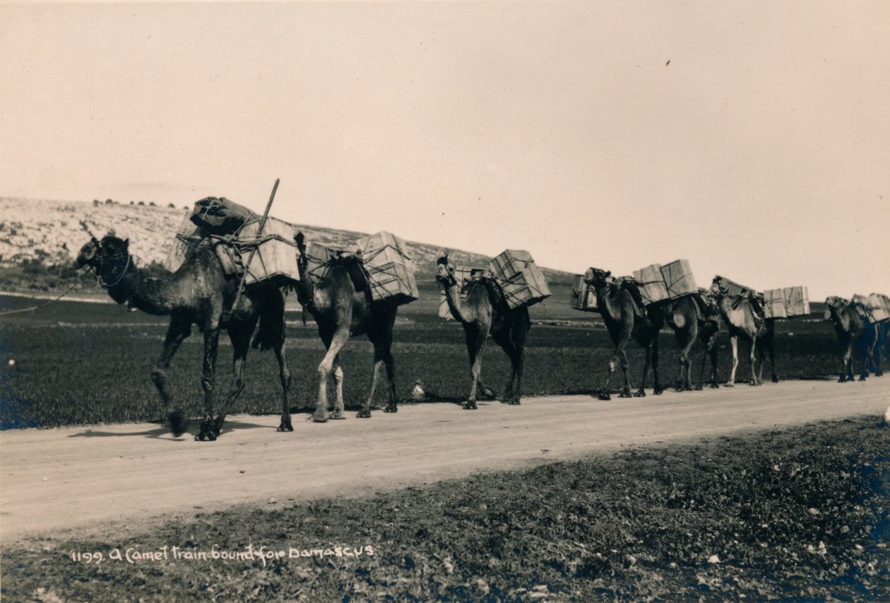 Egy tevevonat Damaszkuszba, 1936 alkotó: Unbekannt