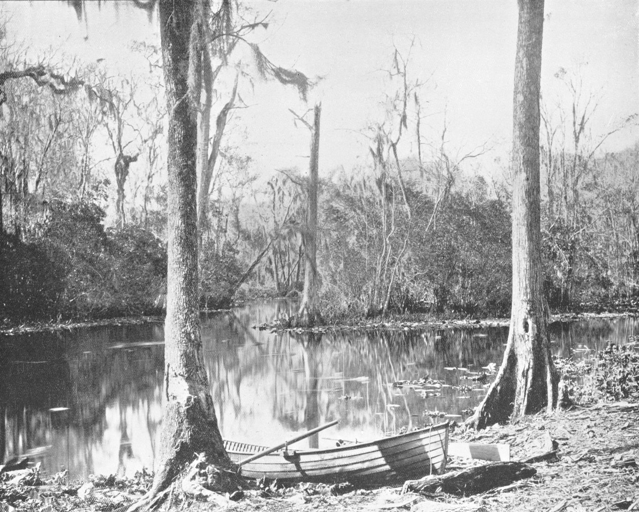A St. Johns River feederje, Florida, USA, 1900 körül. alkotó: Unbekannt