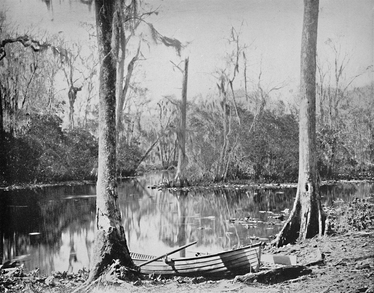 A St. Johns River feederje, Florida, 1897. alkotó: Unbekannt