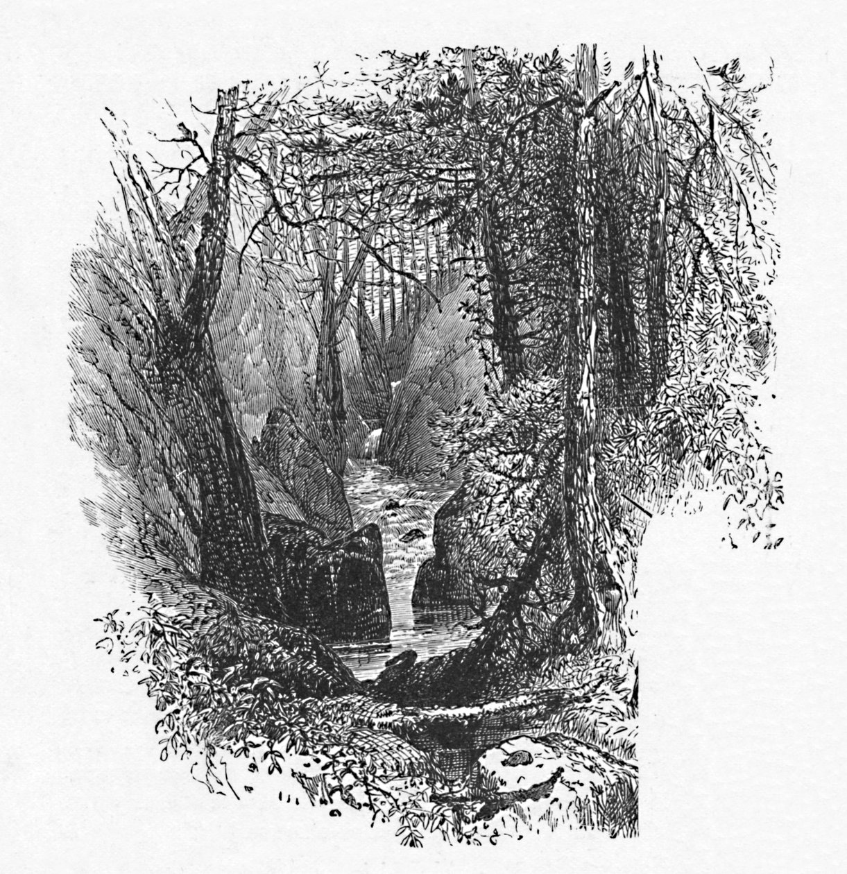 Etető a tóhoz, 1883 alkotó: Unbekannt
