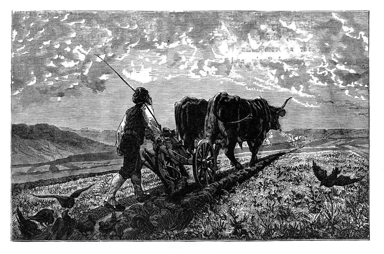 Egy francia mezőgazdasági szakember, 1890 alkotó: Unbekannt