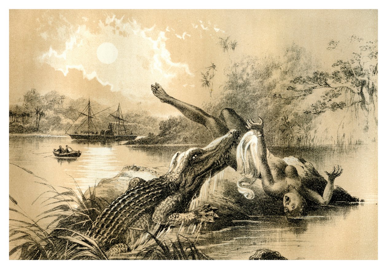 Egy ijesztő esemény, 1883 alkotó: Unbekannt
