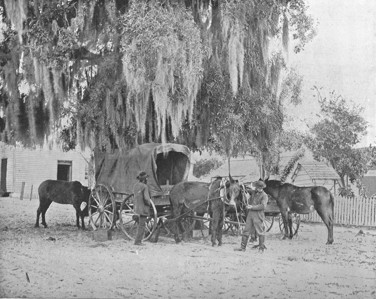 Egy kereskedő San Antonio-ból, Texas, USA, 1900. alkotó: Unbekannt