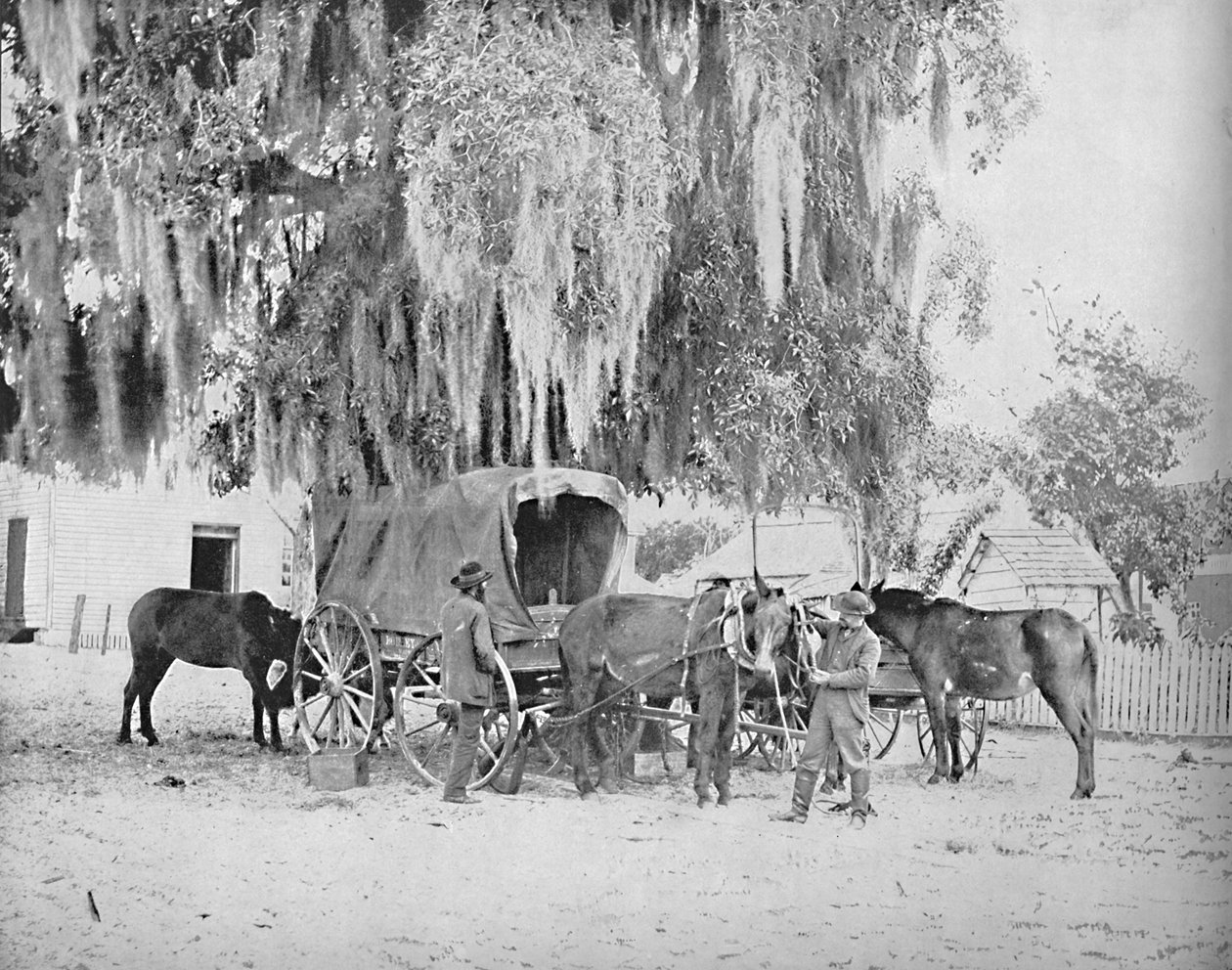 Egy kereskedő San Antonio-ból, Texasból, 1897. alkotó: Unbekannt