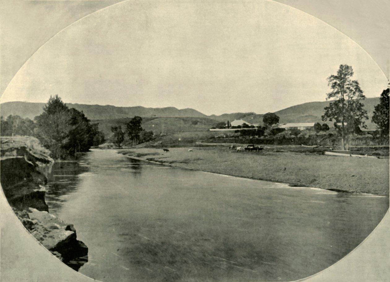 A New South Wales Station Homestead, 1901. alkotó: Unbekannt