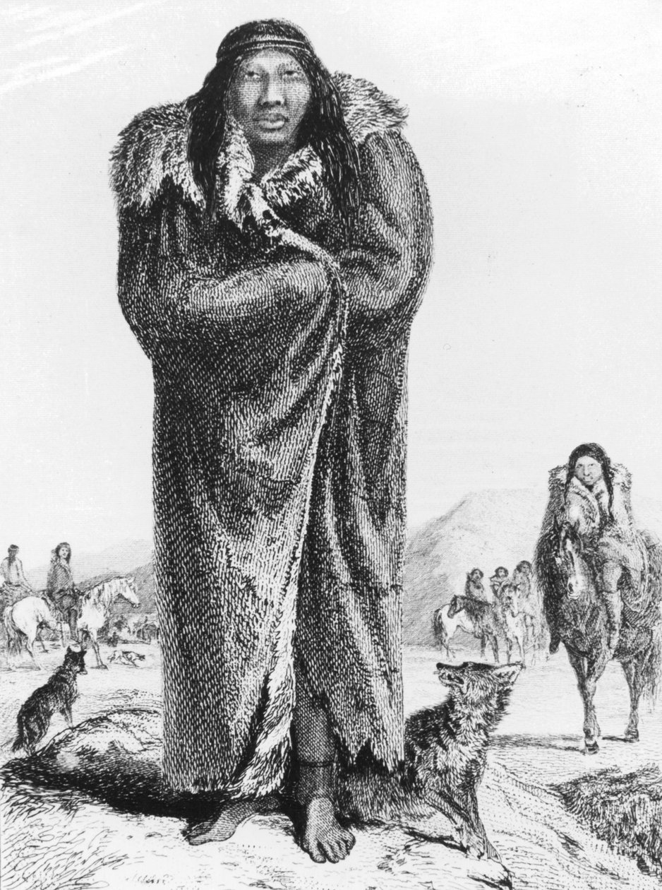 Patagóniai, 1831 1839 alkotó: Unbekannt