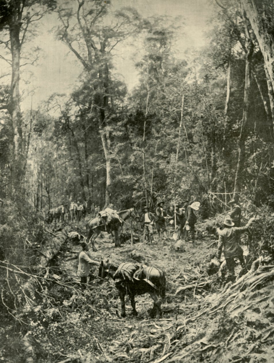 Rough Road, Tasmania, 1901. alkotó: Unbekannt