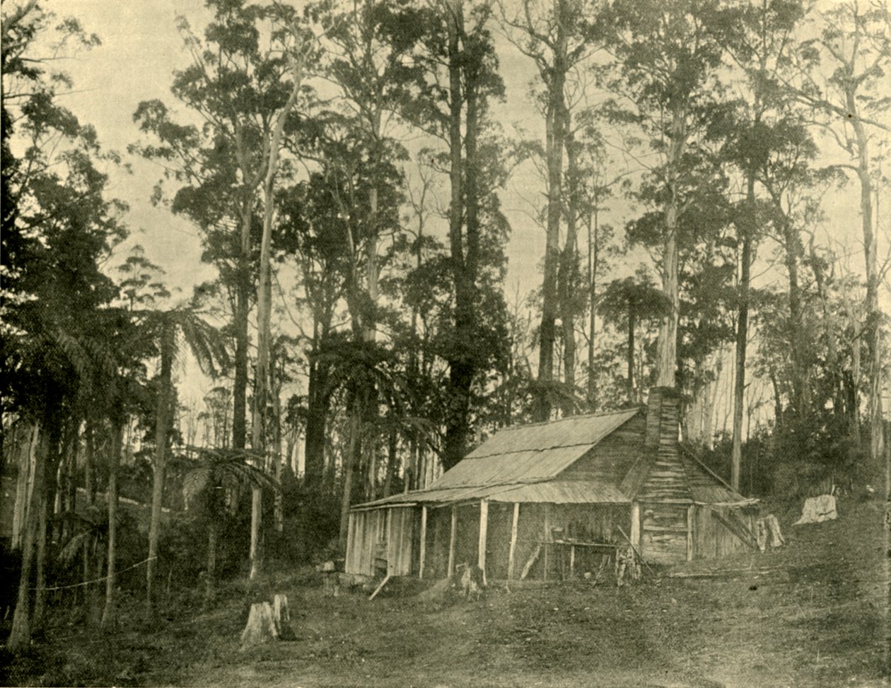 Rusztikus lakóház, 1901. alkotó: Unbekannt