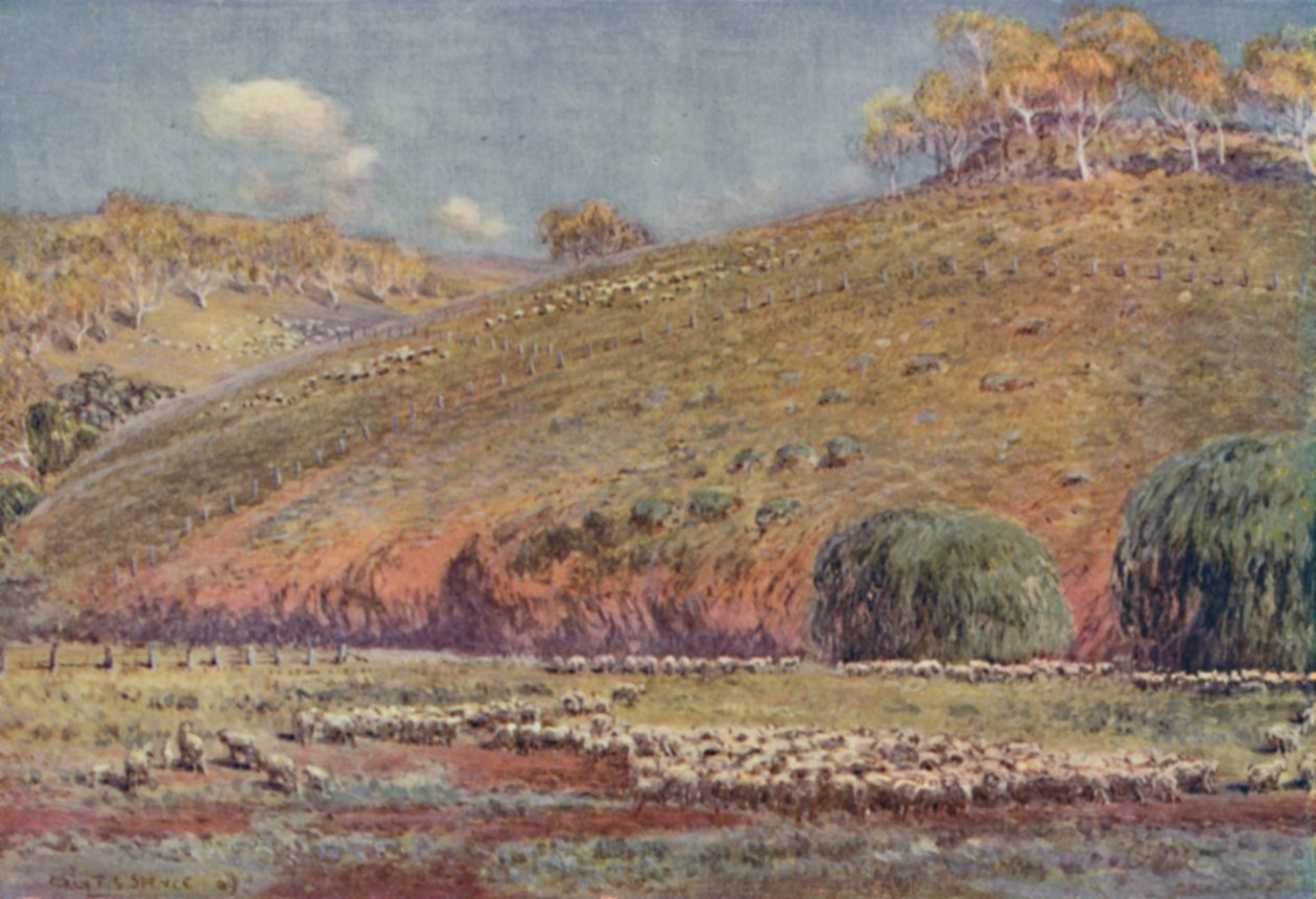 Egy birkafutás, 1923. alkotó: Unbekannt