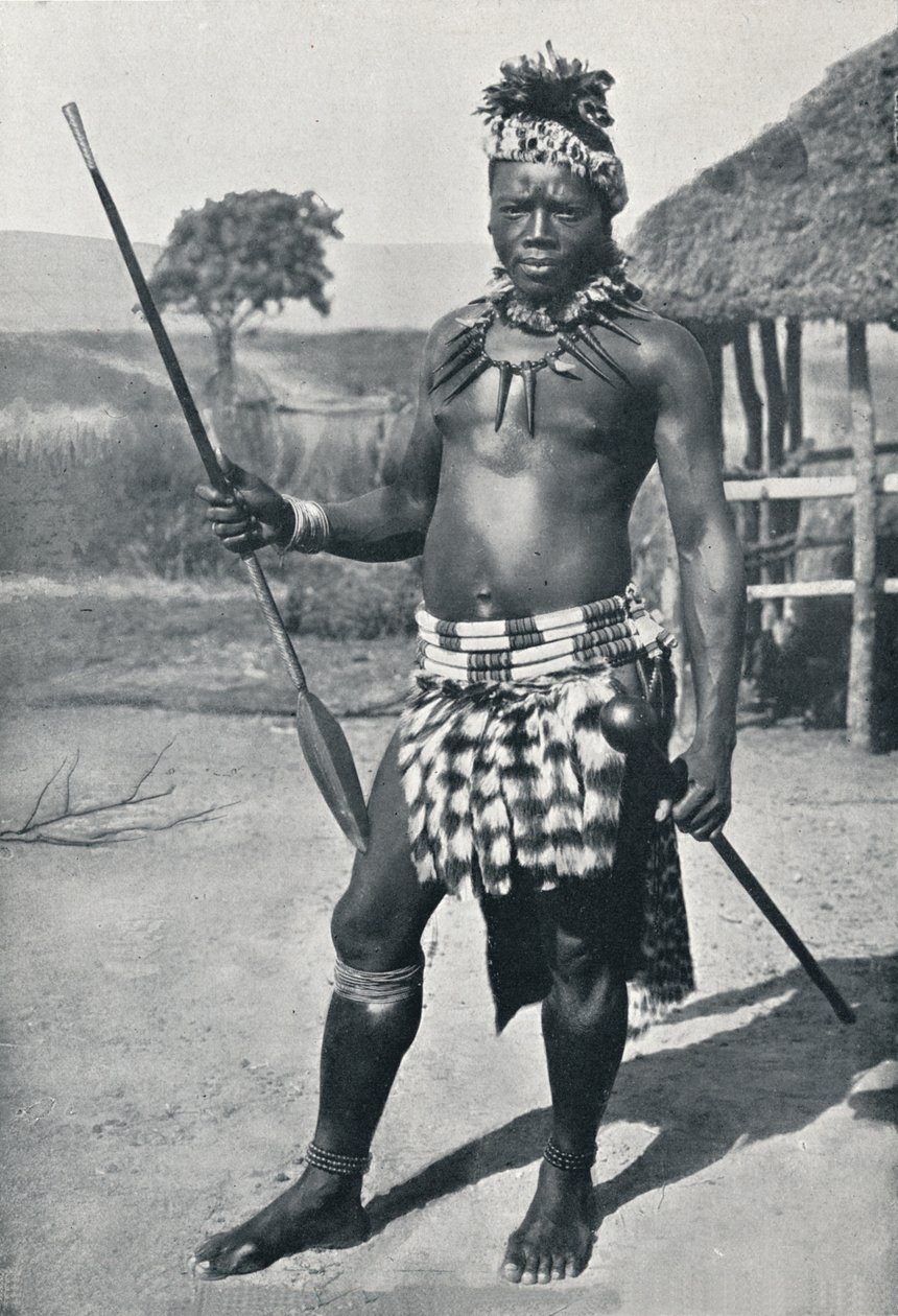 Egy zulu főnök, 1902 alkotó: Unbekannt