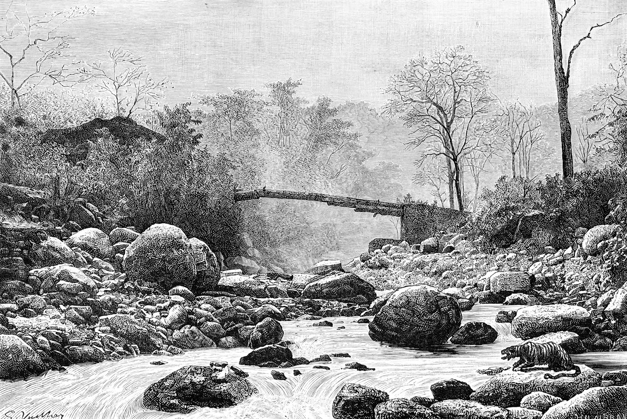 Híd a Rangiton, a Teesta folyó mellékfolyóján, Indiában, 1895 alkotó: Unbekannt