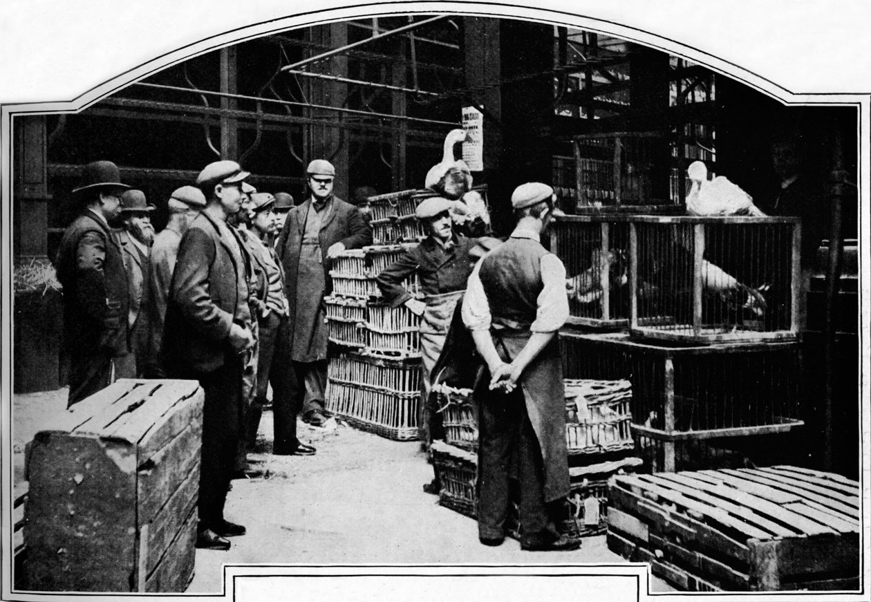 A Leadenhall Market egyik sarka, London, 1901 1901 alkotó: Unbekannt