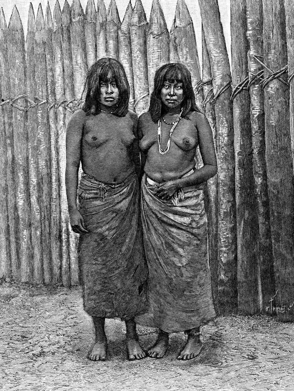 Néhány Gran Chaco indián nő, Dél-Amerika, 1895 alkotó: Unbekannt