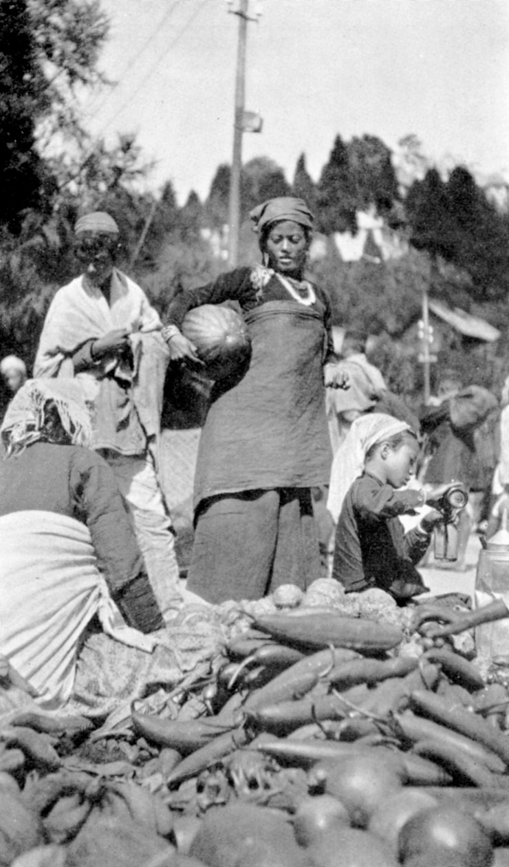 Élelmiszerpiac Darjeelingben, Nyugat-Bengálban, Indiában, 1910 alkotó: Unbekannt