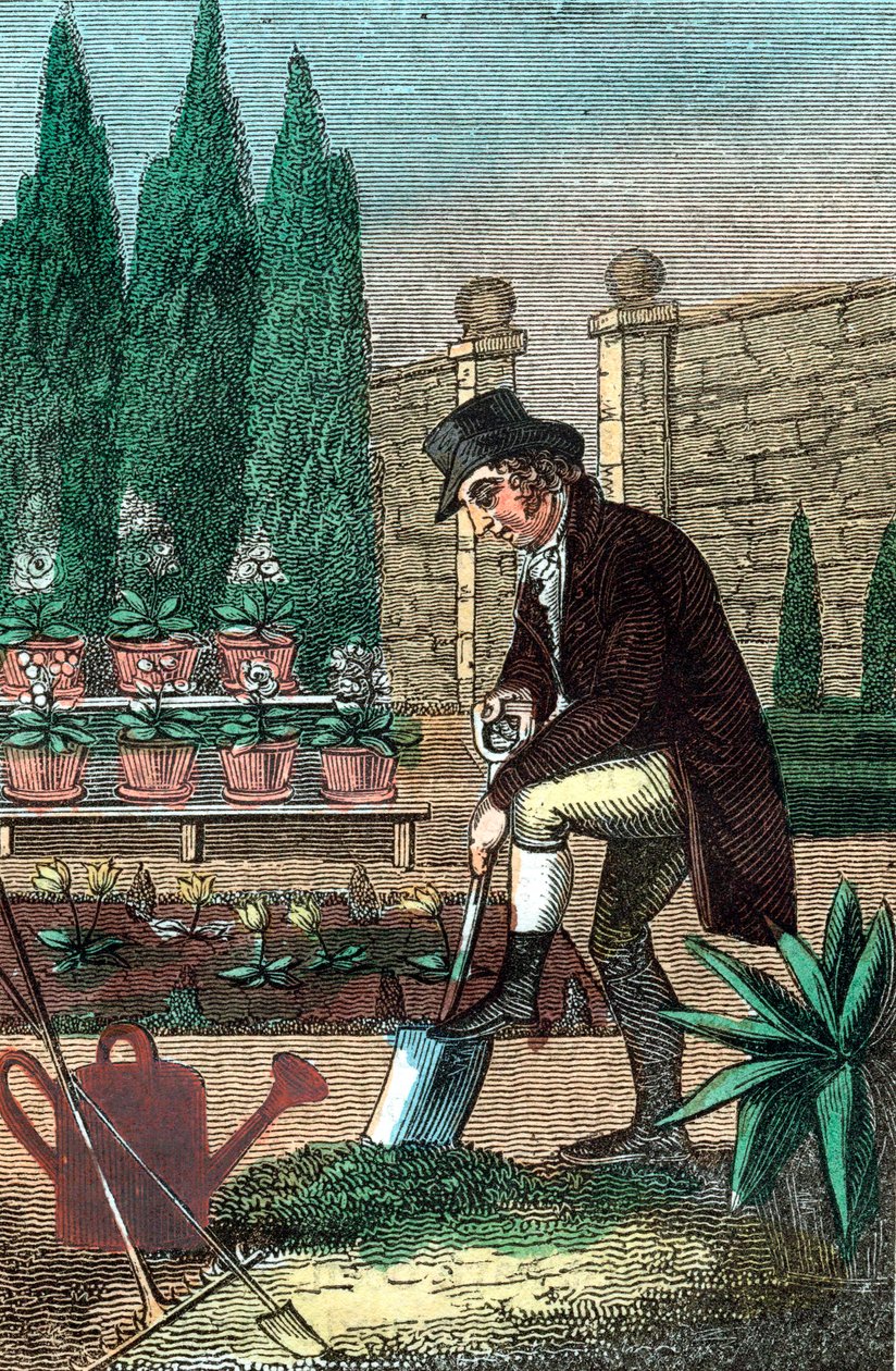 Egy ásóval ásó kertész, 1821 alkotó: Unbekannt