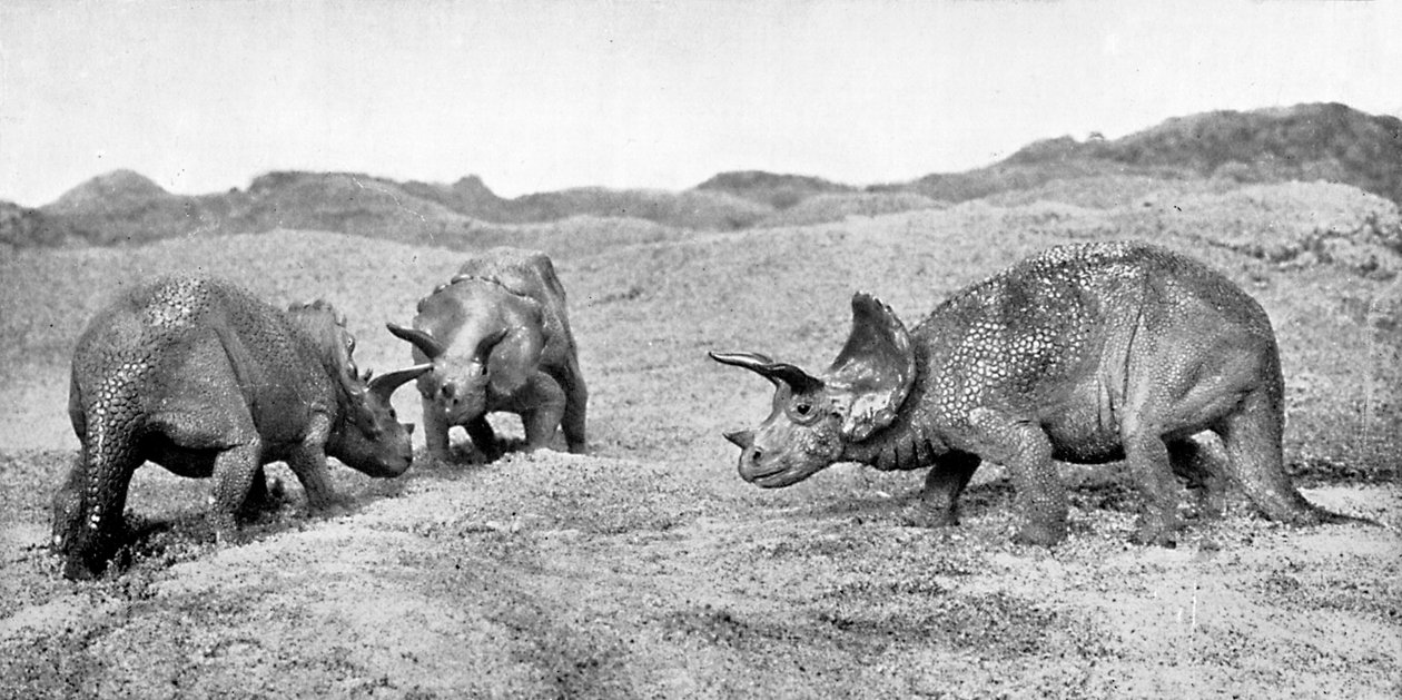 Triceratops csoport, XX. század alkotó: Unbekannt