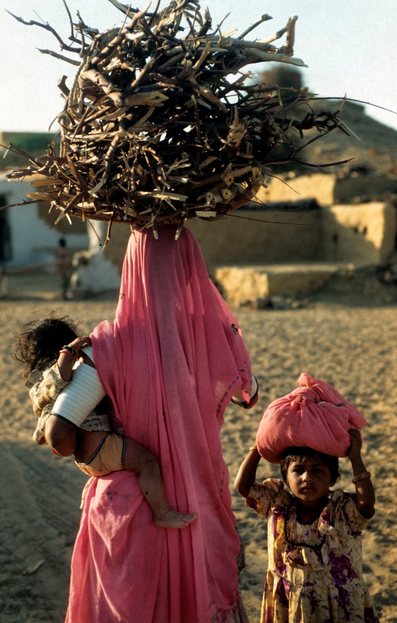 Egy helyi fametsző család egy rádzsasztáni faluból. Rajasthan, India. 2005. február 25. (fotó) alkotó: Unbekannt