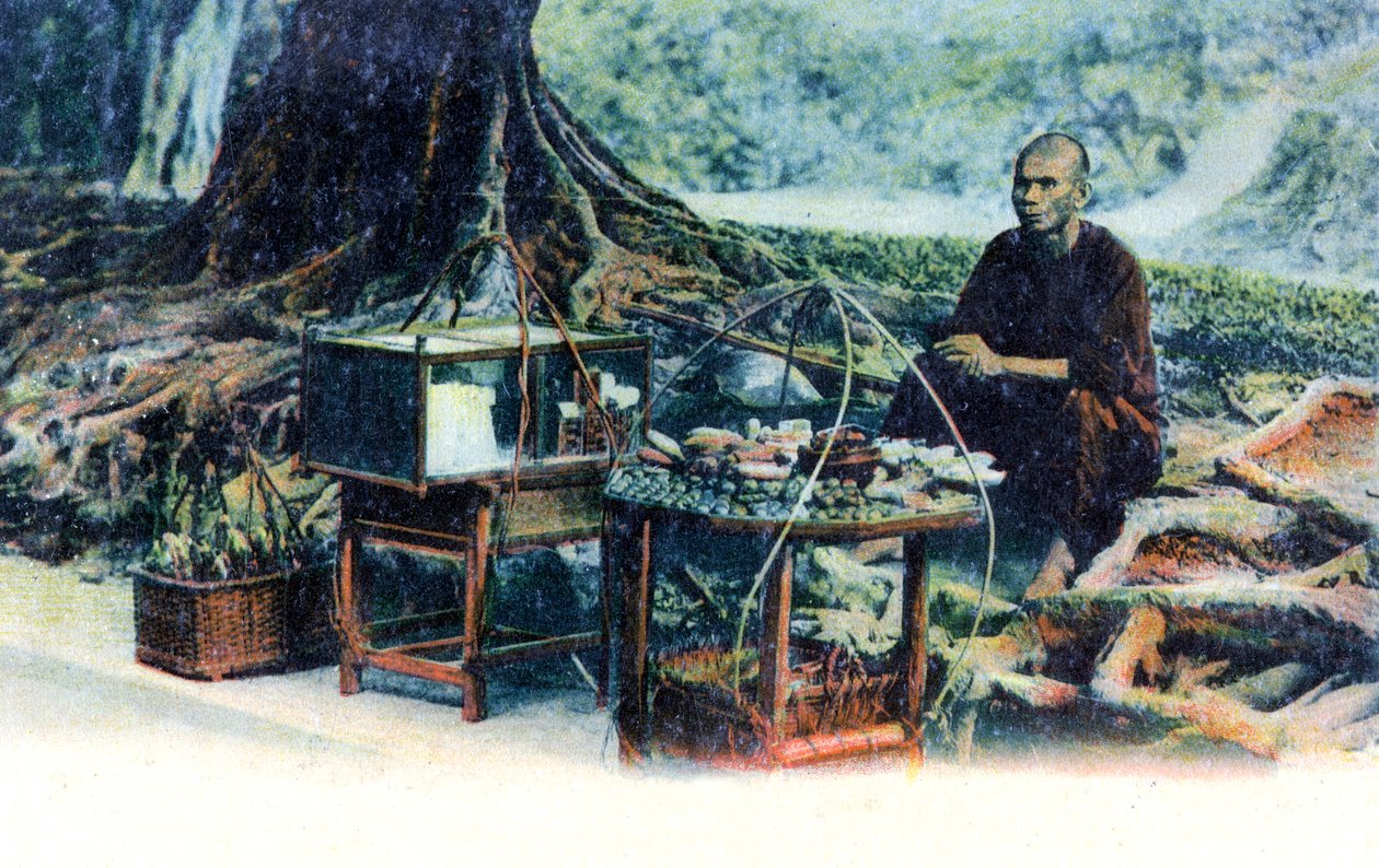 Egy férfi gyümölcsöt árul egy fa alatt, Hongkong, Kína, 1900-as évek alkotó: Unbekannt