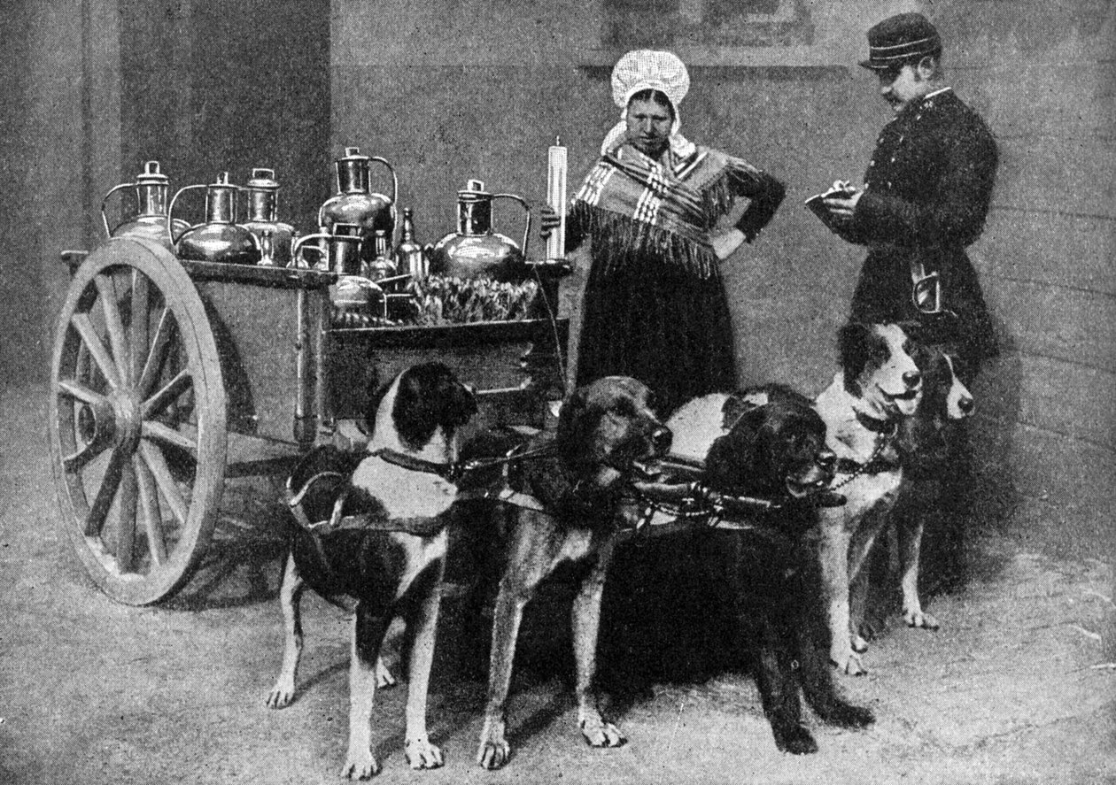 Egy tejesasszony kormányzati ellenőrrel, Belgium, 1922 alkotó: Unbekannt