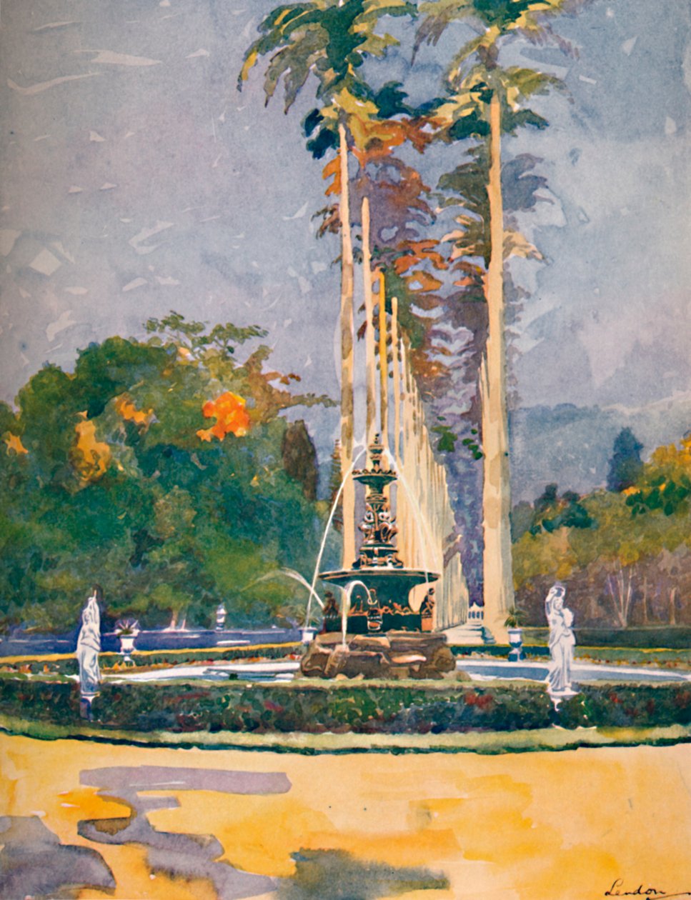 A Royal Palms sugárút egy része, Botanikus Kert, 1914 alkotó: Unbekannt