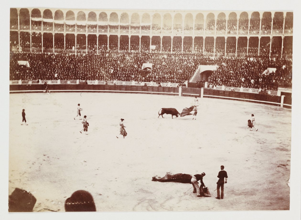 Pillanatfelvétel egy bikaviadalról hatalmas tömeg előtt a madridi Las Ventas del Espiritu Santo bikaviadalban, amelyet egy ismeretlen fotós készített 1930 körül. alkotó: Unbekannt