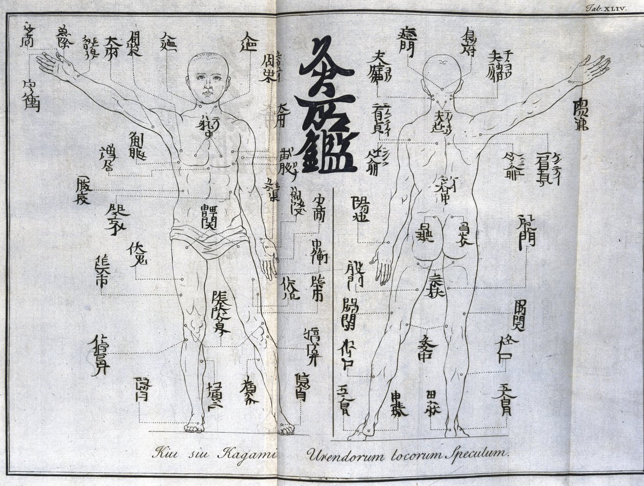 Akupunktúra: az emberi test térképe, amely a moxibuszciós pontokat jelzi, Japán (A moxára vonatkozó diagram, c 1690) alkotó: Unbekannt