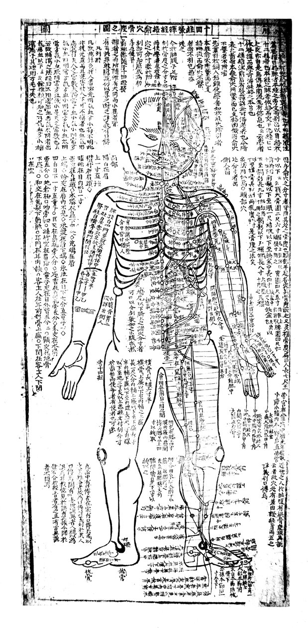 Akupunktúrás táblázat a test elülső részére, japán, 19. század alkotó: Unbekannt