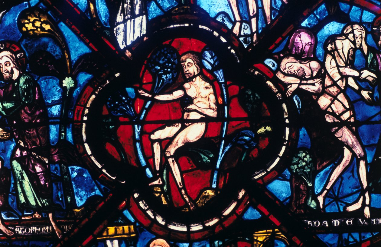 Ádám az Édenben, ólomüveg, Chartres-i katedrális, Franciaország, 1205-1215 alkotó: Unbekannt