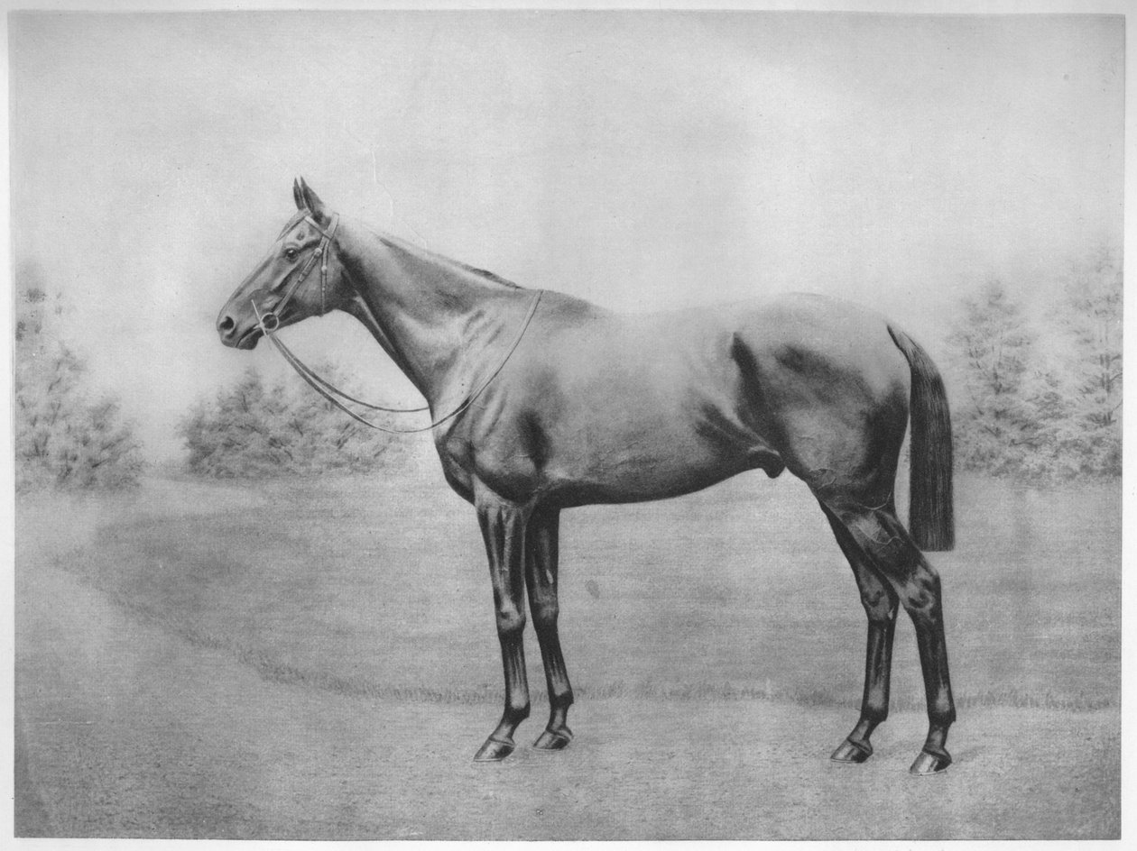 Togo admirális III, 1911 alkotó: Unbekannt